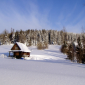 Poľovnícka chatka