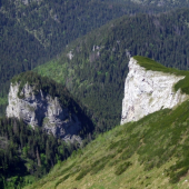 Z letného archívu.