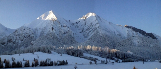 Ranné mrazy prituhuju.