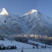 Ranné mrazy prituhuju.