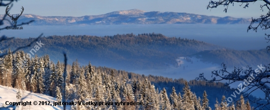 Panoráma