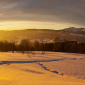 A predsa je guľatá.