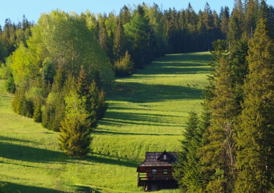 Pri večernom svetle