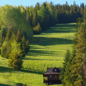 Pri večernom svetle