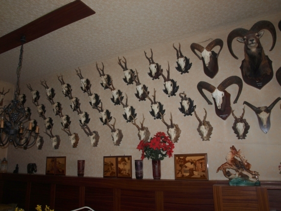 V jednom Viedenskom byte.