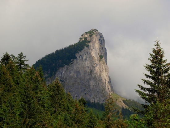 Muraň
