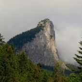 Muraň
