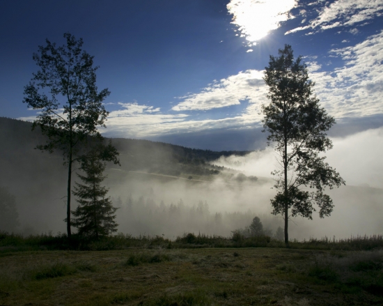 Kamoška si našla priateľa