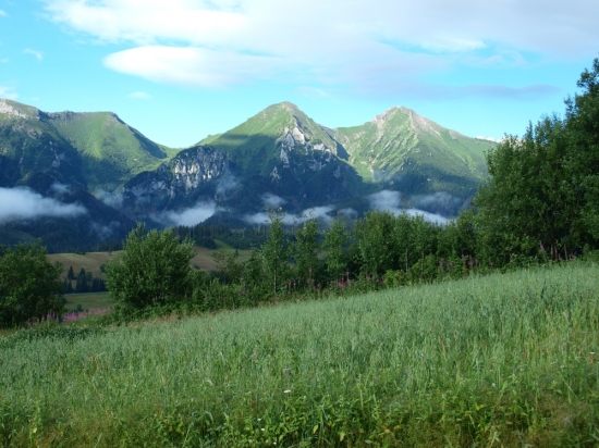 Na žatvu to nevyzera