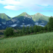 Na žatvu to nevyzera