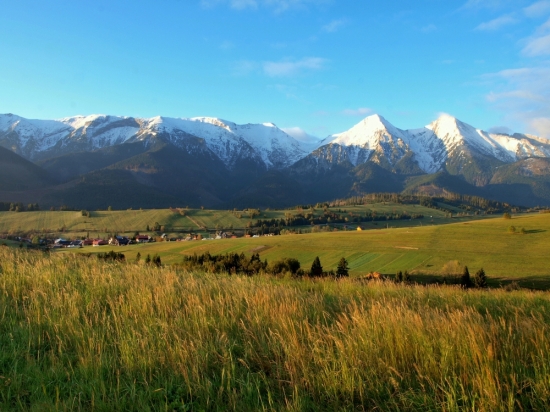 Ranné prebúdzanie