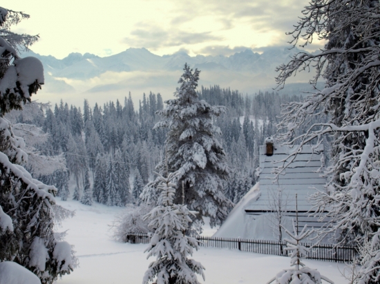 Z výhľadom na Tatry