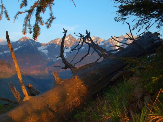 Tatry zo Sucheho vrchu