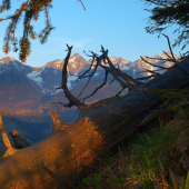 Tatry zo Sucheho vrchu