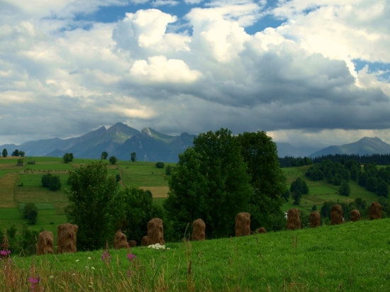 Letná