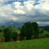 Letná