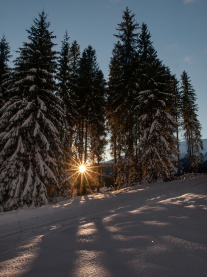 za ranného brieždenia