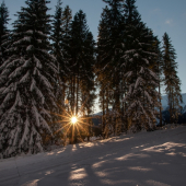za ranného brieždenia