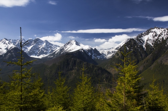 Dolina Rybieho potoka