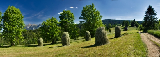 Koniec leta
