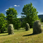 Koniec leta