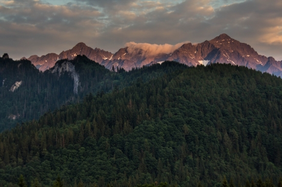 V.Kôň a Rogova