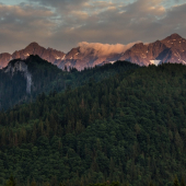 V.Kôň a Rogova
