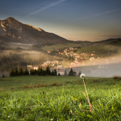 Inverzia