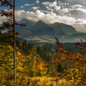 Jeseň na Suchom vrchu