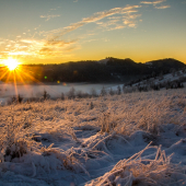 -14°C