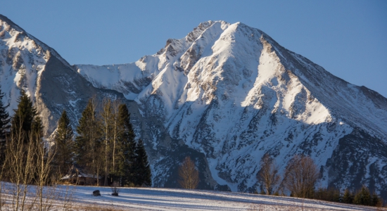 Galibovská šopka