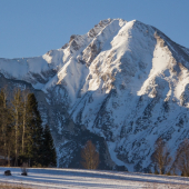 Galibovská šopka