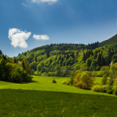 Strážovské vrchy