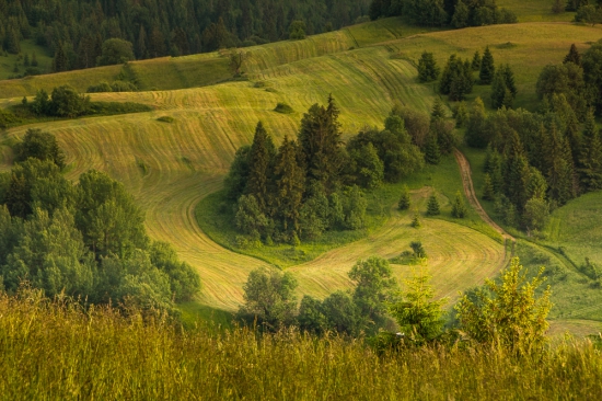 Senoseč  v Osturni