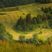 Senoseč  v Osturni