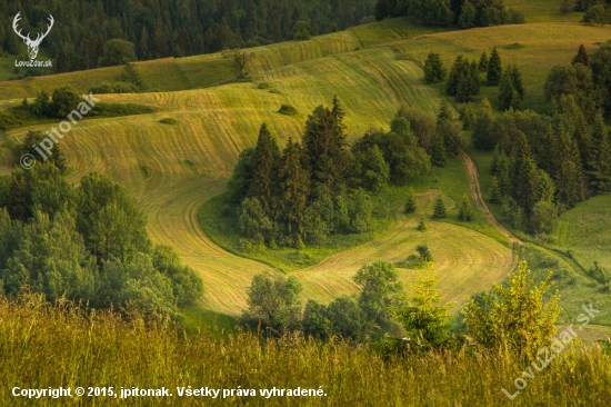 Senoseč  v Osturni