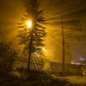 Hmlistá noc