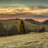 Brieždenie