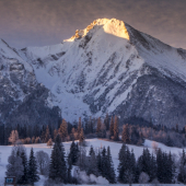 Havran vo vychádzajúcom slnku