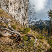 Prírodná skalka v Belianskych Tatrach