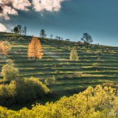 Keď je slnko nízko