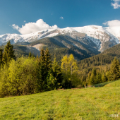 Bonifác trochu mešká