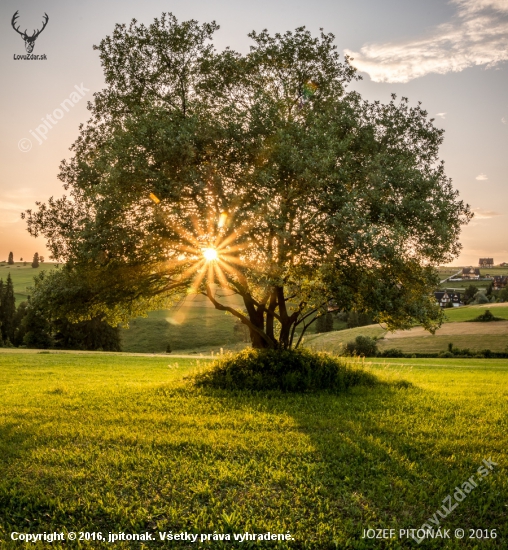 Na sv. Jana