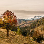 Jeseň nad Tepličkou