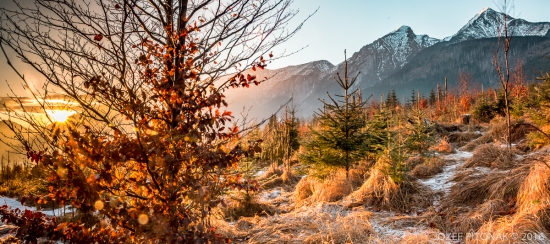 Pozlatená krajina pod Tatrami