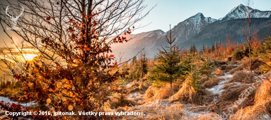 Pozlatená krajina pod Tatrami