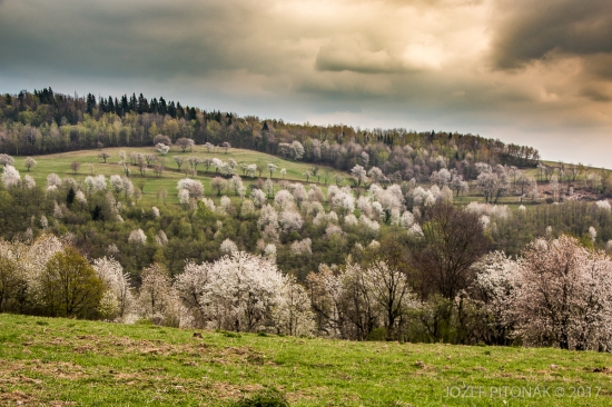 Brdárka