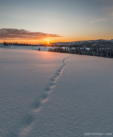 -16°C