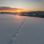 -16°C
