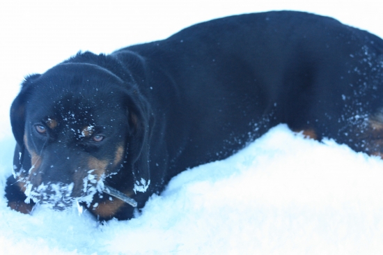 fajne som sa prevetrala